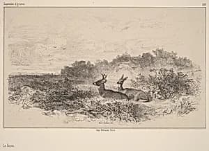 Le Repos by Karl Bodmer