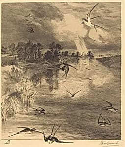 Les Hirondelles (The Swallows) by Félix Bracquemond