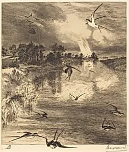 Les Hirondelles (The Swallows) by Félix Bracquemond