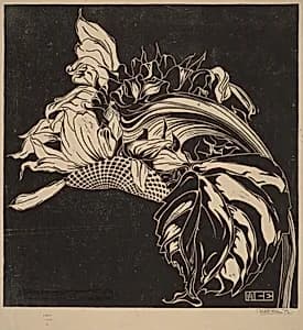 Life Force by M.C. Escher