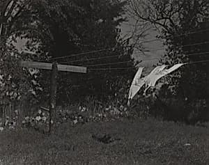 Long Underwear, Lake George by Alfred Stieglitz