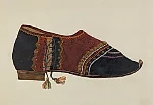 Man's Dancing Shoe