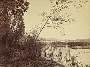 Marais de Fampoux