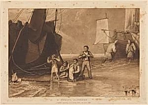 Marine Dabblers
