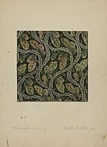 Material used in Costume by Isabelle De Strange