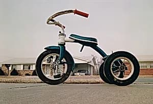 Portrait of William Eggleston