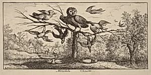 Monedula, The Owl by Albert Flamen