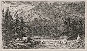Mountain Stream with Rapids