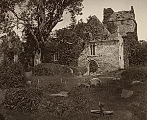 Muckross Abbey, Killarney by Thomas Marcus Brownrigg