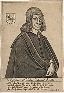 Nicholai Culpeper, Equitus by Thomas Cross