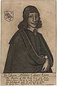 Nicholai Culpeper, Equitus by Thomas Cross