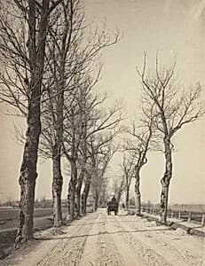 November Days by Alfred Stieglitz
