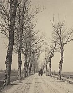 November Days by Alfred Stieglitz