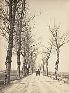 November Days by Alfred Stieglitz