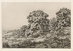 Oaks near a Pond by Eugène Bléry