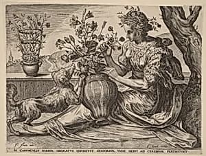 Odoratus (Smell)
