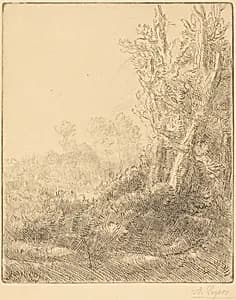 Old Village (Ville vieille) by Alphonse Legros