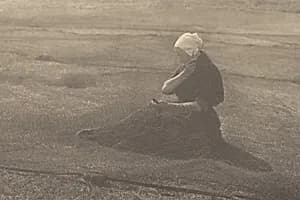 On the Dunes by Alfred Stieglitz