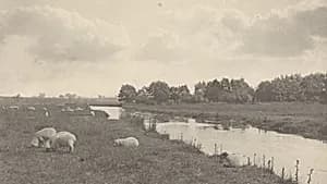 On the River Bure by Peter Henry Emerson