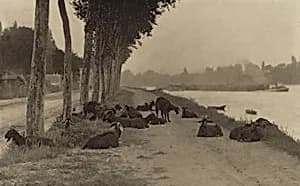 On the Seine—Near Paris by Alfred Stieglitz