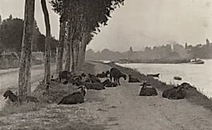 On the Seine—Near Paris by Alfred Stieglitz