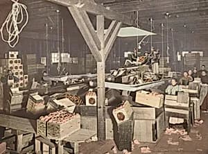 Orange Packing at Redlands by American 19th Century, Detroit Photographic Company