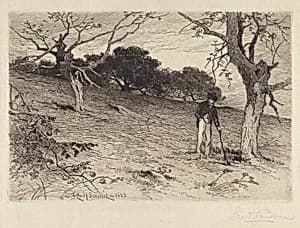 Orchard