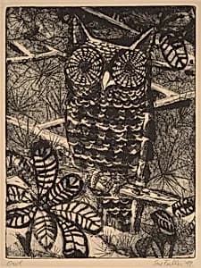 Owl