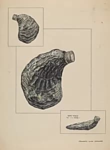 Oyster Shaped Flask by Francis Law Durand