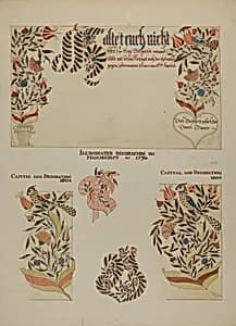 Pa. German Fractur Designs by Page Coffman