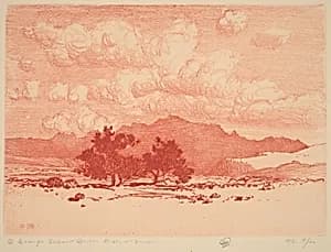 Palo Verde Trees by George Elbert Burr