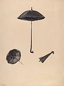 Parasol