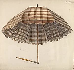 Parasol by Douglas Cox