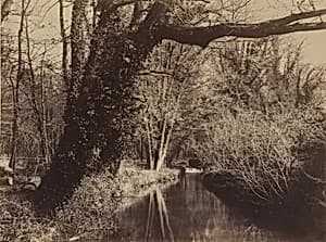 Parc de Courances