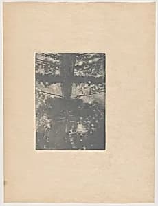 Paysage (Landscape)