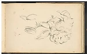 Peonies by Paul Cezanne
