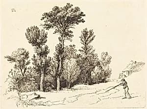 Petit Bosquet au Chasseur by Jean-Jacques de Boissieu