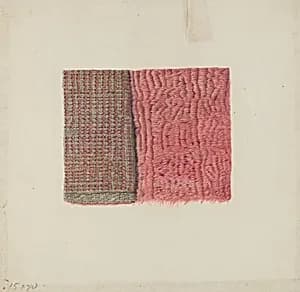 Piece of Shag by Frances Cohen
