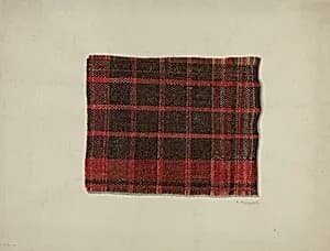 Piece of Wool Plaid by Raymond Manupelli