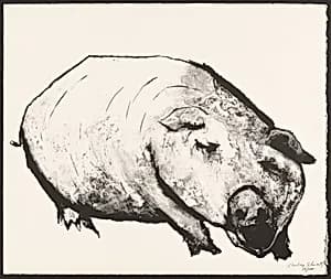 Pig