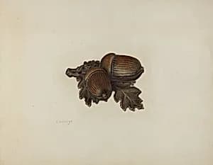Pin Tray by Herman Schulze
