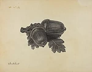 Pin Tray by Helen Hobart