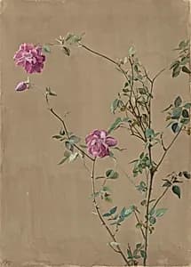 Pink Roses by Fidelia Bridges