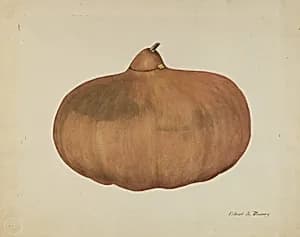 Pioneer Salt Gourd by Elbert S. Mowery