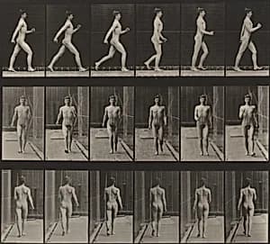 Plate Number 10. Walking by Eadweard Muybridge