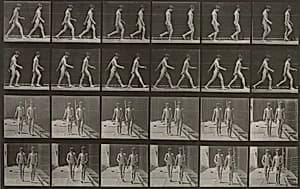 Plate Number 12. Walking by Eadweard Muybridge