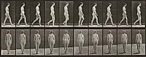 Plate Number 15. Walking by Eadweard Muybridge