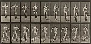 Plate Number 3. Walking by Eadweard Muybridge
