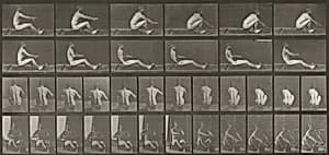 Plate Number 328. Rowing by Eadweard Muybridge