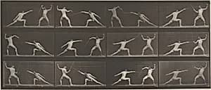 Plate Number 349. Fencing by Eadweard Muybridge